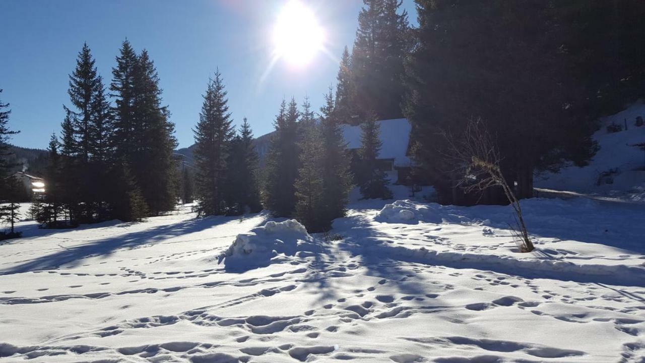 Auszeithuette Villa Flattnitz Eksteriør billede